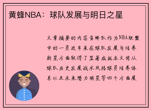 黄蜂NBA：球队发展与明日之星