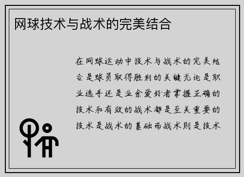 网球技术与战术的完美结合